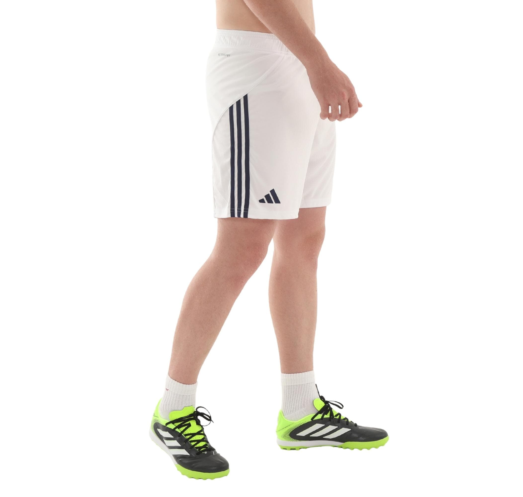 Fenerbahçe adidas Fenerbahçe 25-26 İç Saha Erkek Şort Ve Kapri Beyaz - 3