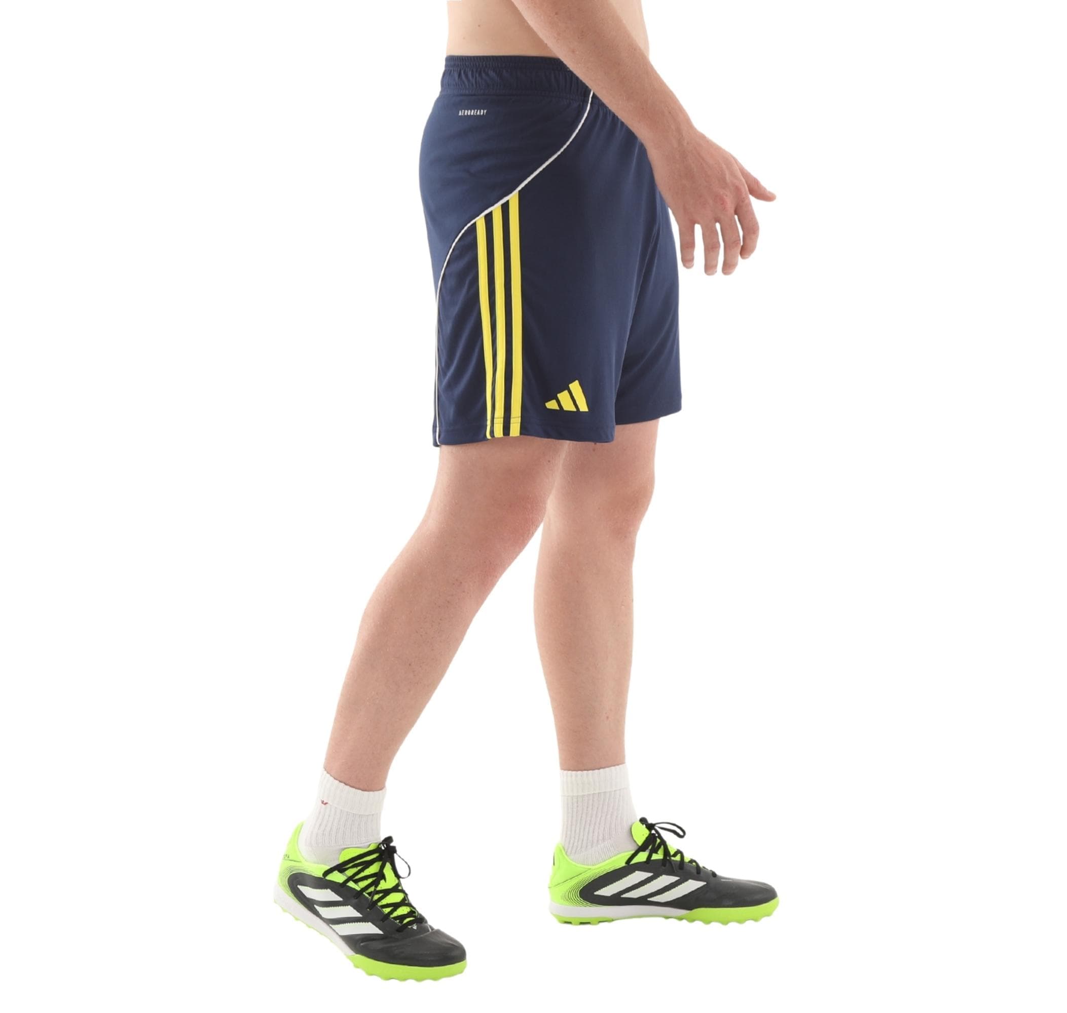 Fenerbahçe adidas Fenerbahçe 25-26 İç Saha Erkek Şort Ve Kapri Lacivert - 3