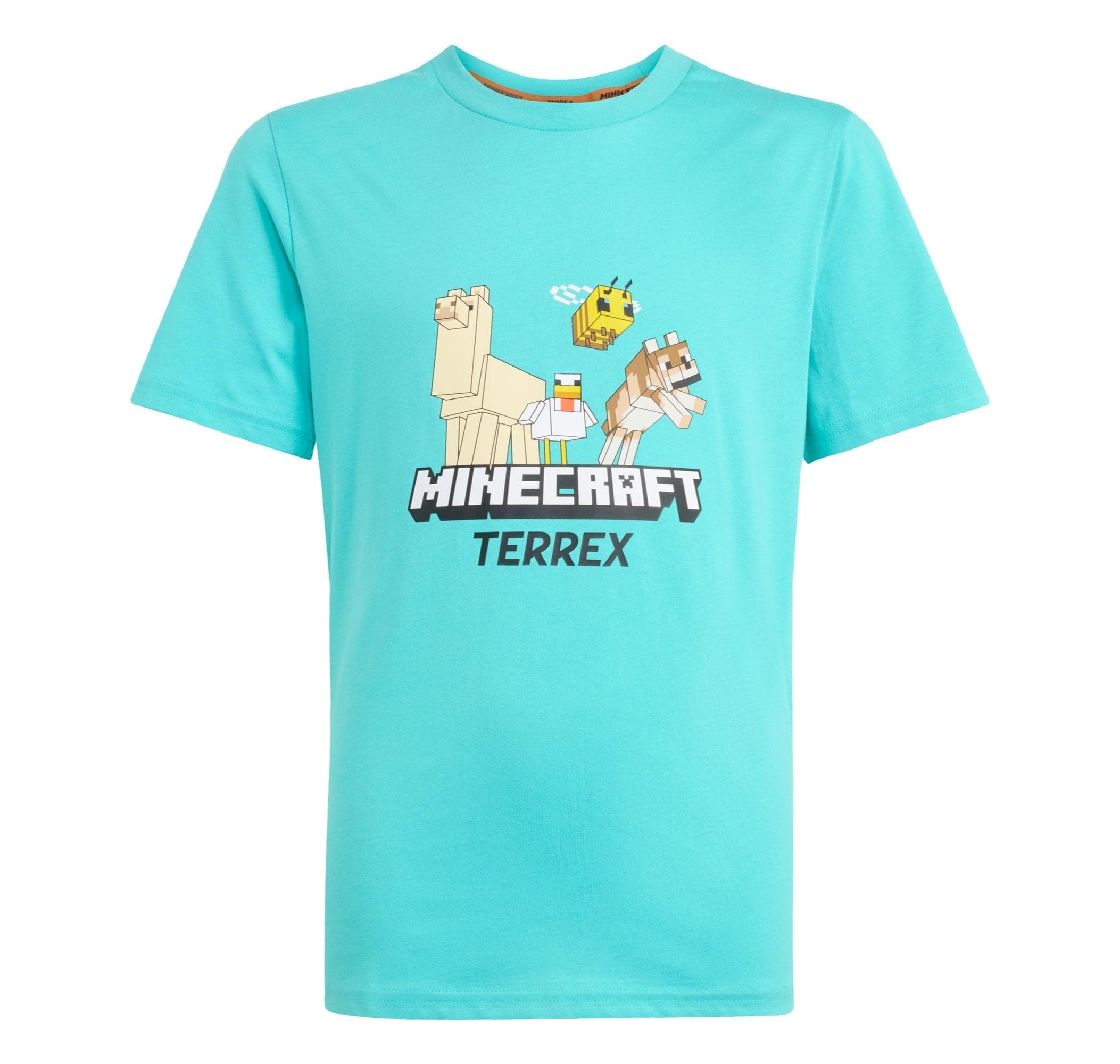 Turkuaz
