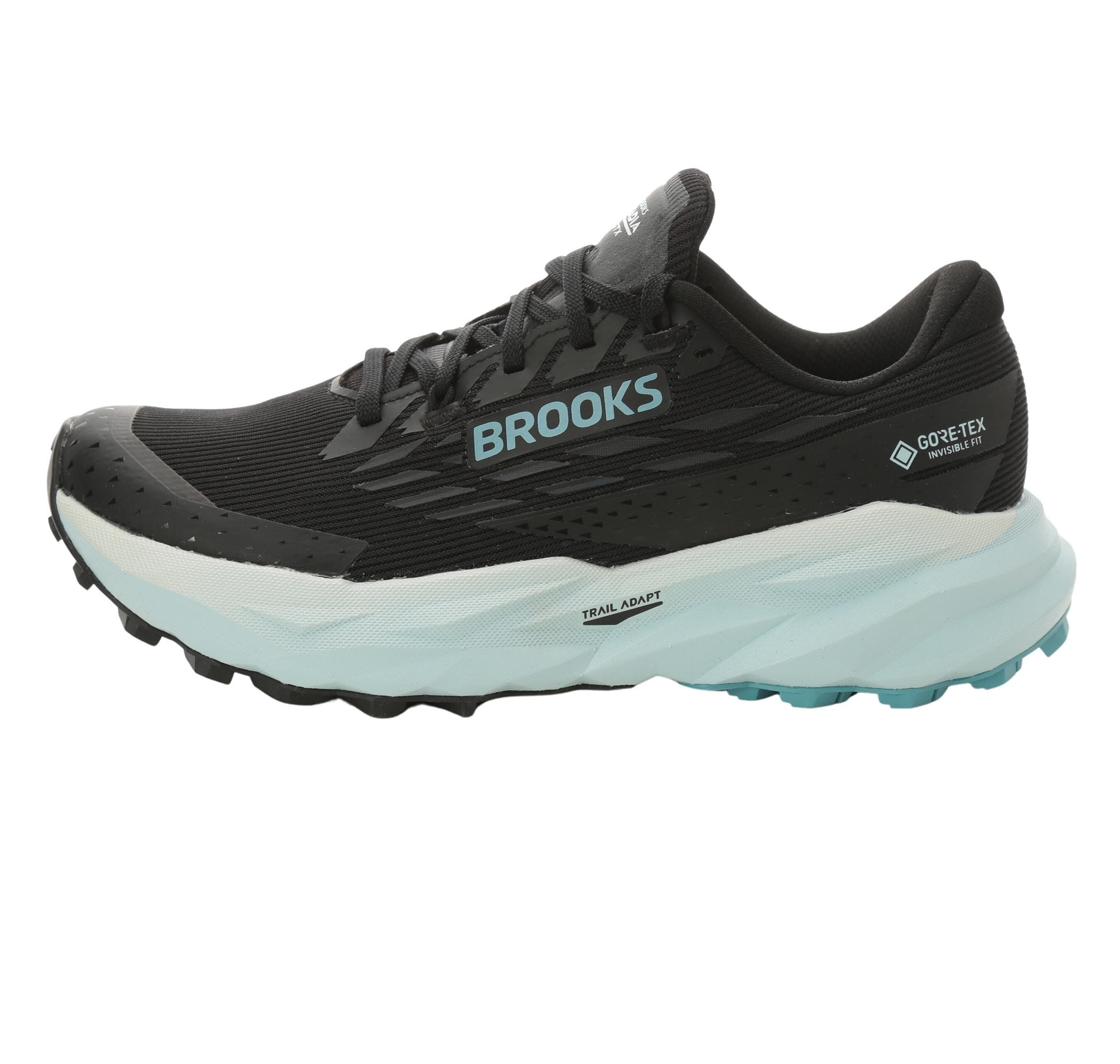 Brooks Brooks Cascadia 19 Gtx Kadın Spor Ayakkabı Siyah