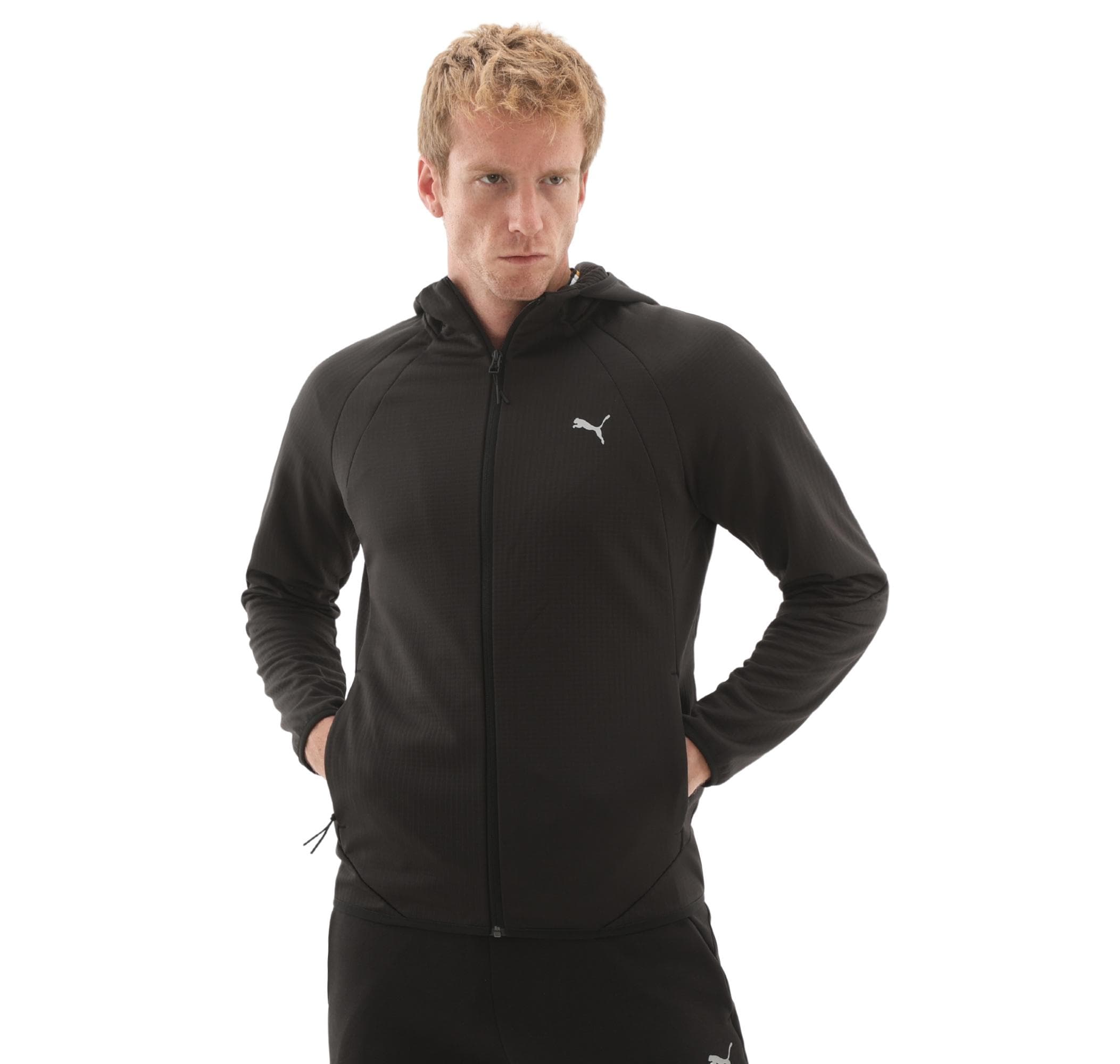 Puma Puma Evostrıpe Warm Fz Hoodie Erkek Mont Siyah - 2