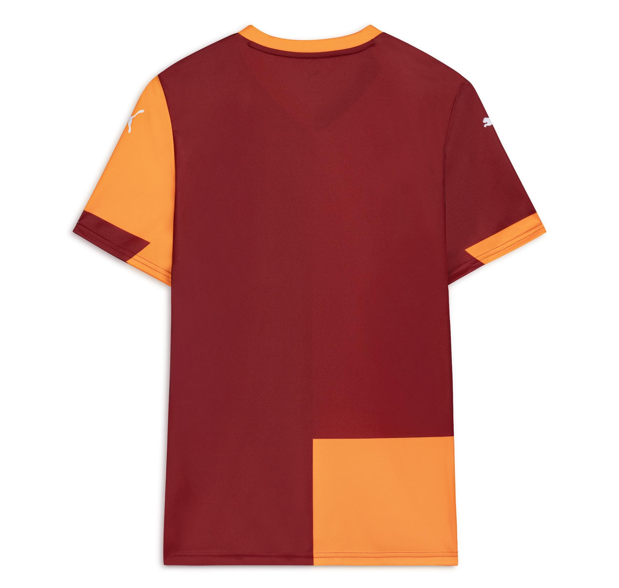 Galatasaray Puma Gs Galatasaray 25-26 İç Saha Erkek Forması Sarı - 2