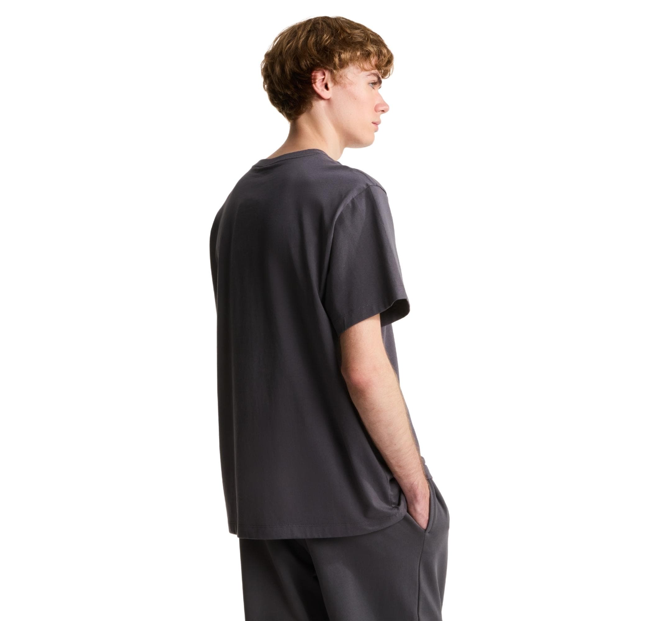 The North Face The North Face M Essentıal Center Logo Relaxed Short Sl Erkek T-Shirt Gri - 3