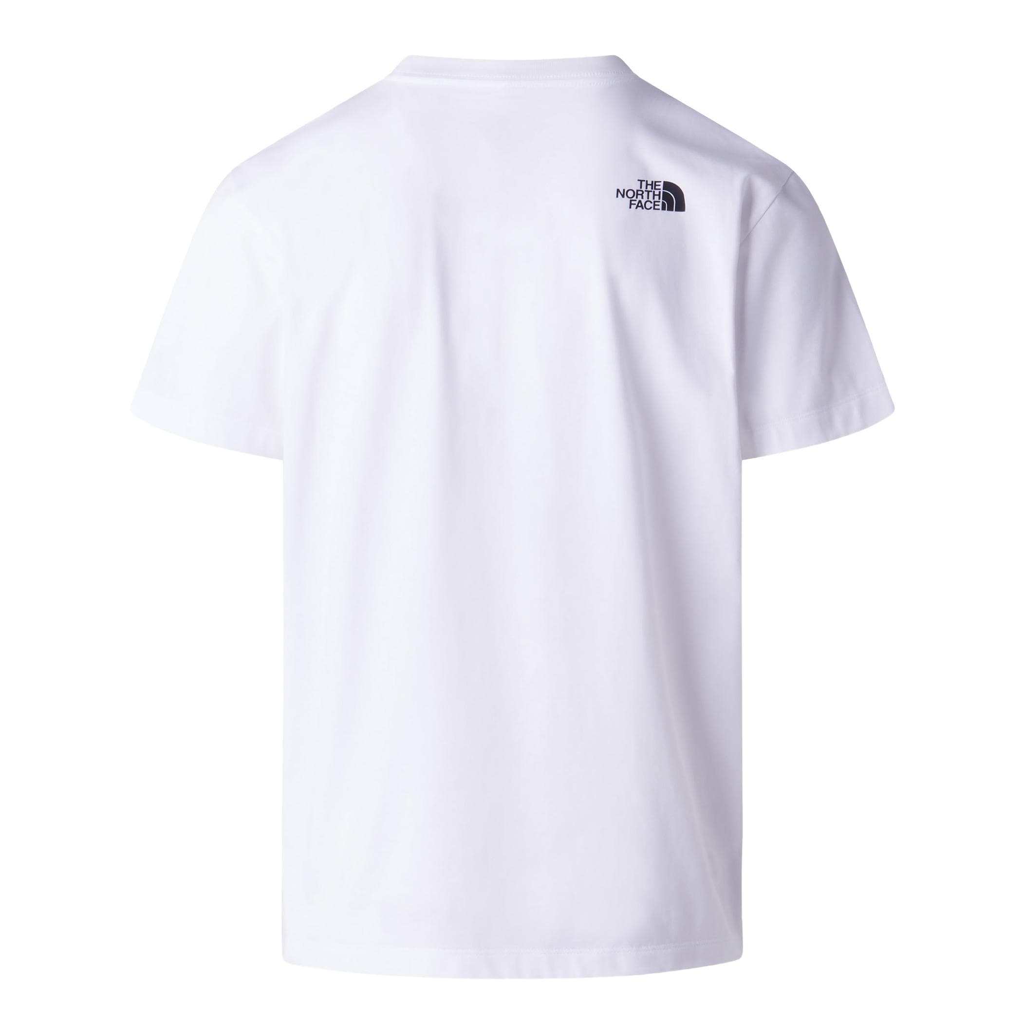 The North Face The North Face M Evolutıon Box Half Dome Regular Short Erkek