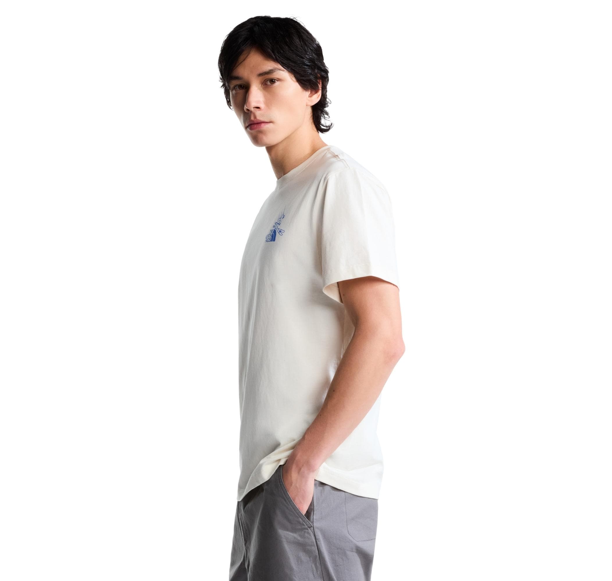 The North Face The North Face M Mountaın Celebratıon Regular Short Sle Erkek T-Shirt Krem - 2