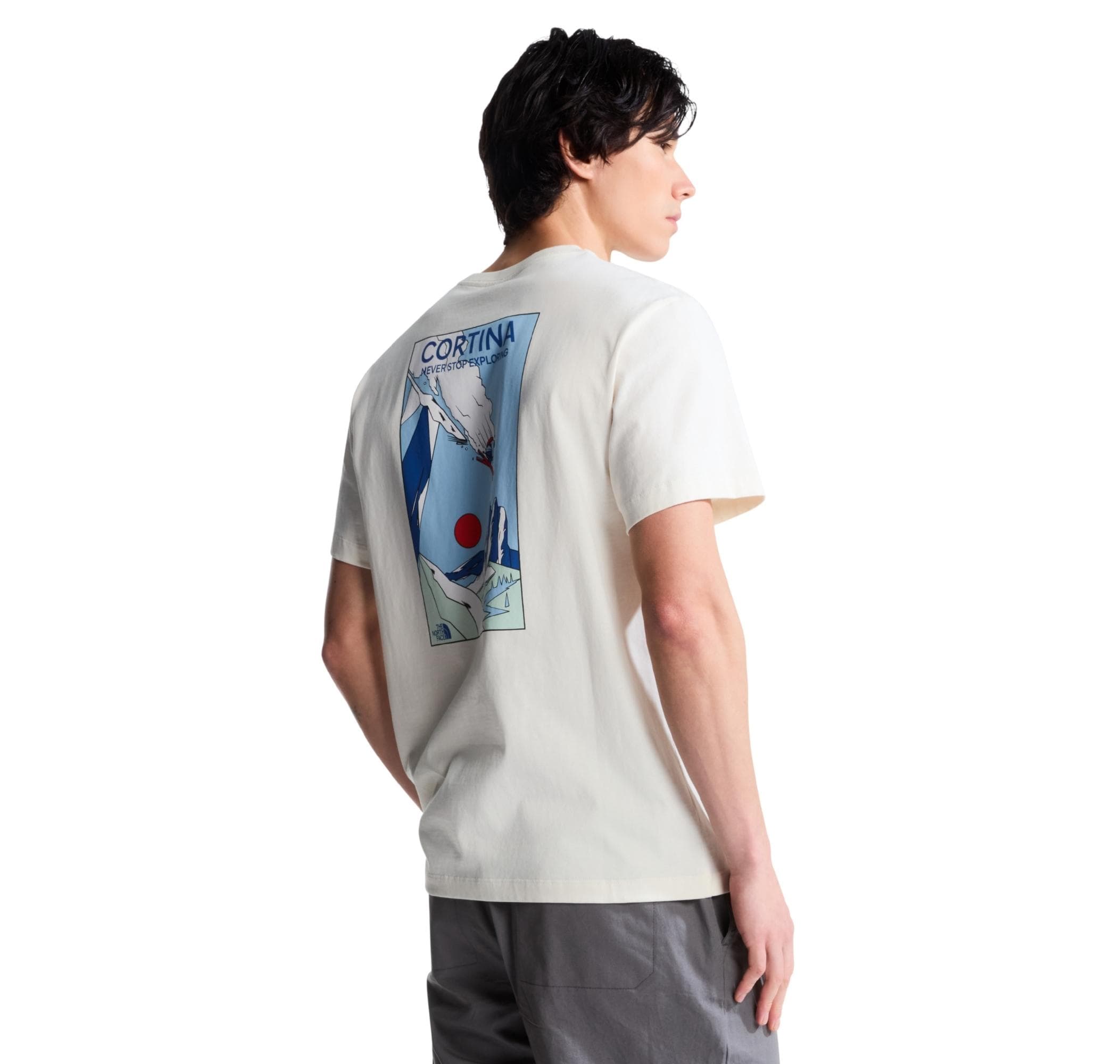 The North Face The North Face M Mountaın Celebratıon Regular Short Sle Erkek T-Shirt Krem - 3