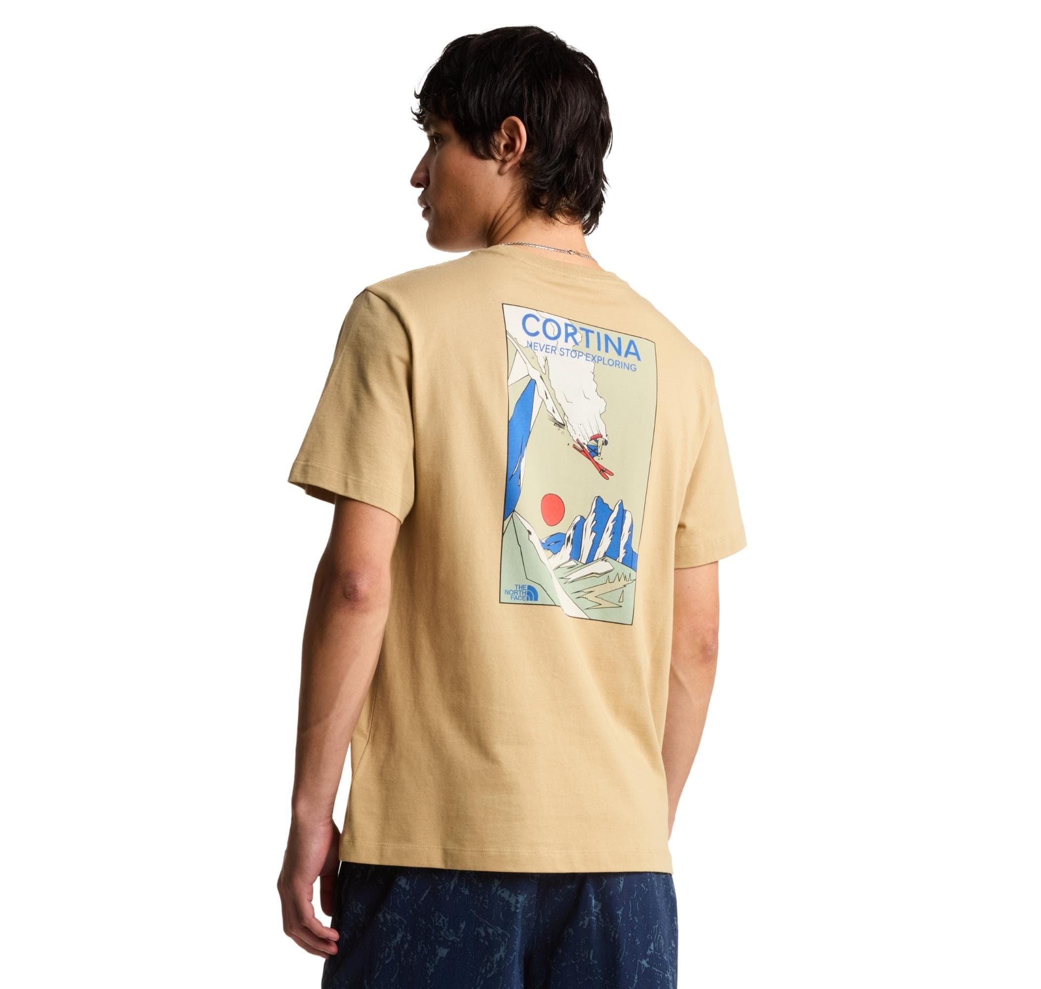 The North Face The North Face M Mountaın Celebratıon Regular Short Sle Erkek T-Shirt Sütlü Kahve - 2