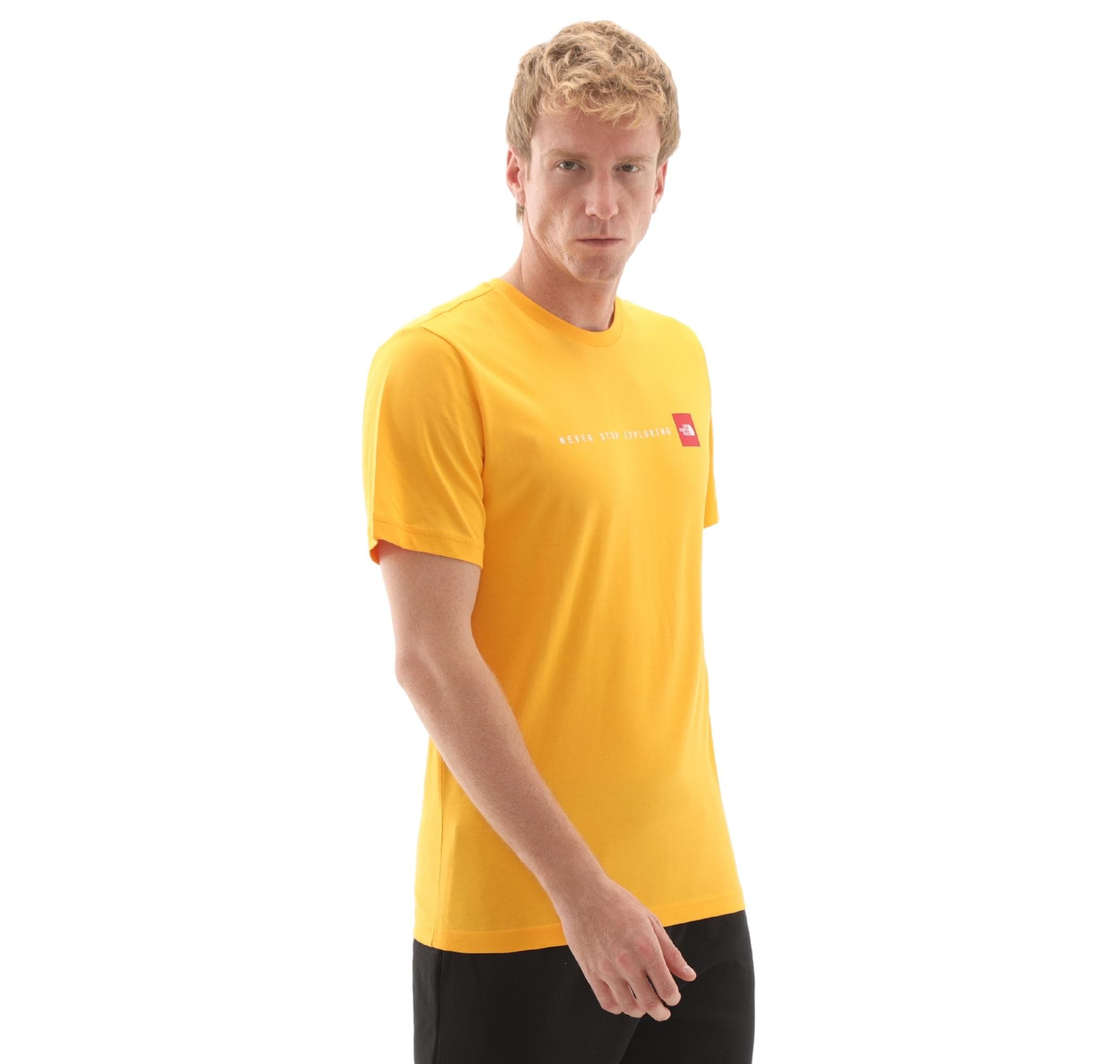 The North Face The North Face M Ss Never Stop Explorıng Tee Erkek T-Shirt Sarı - 2