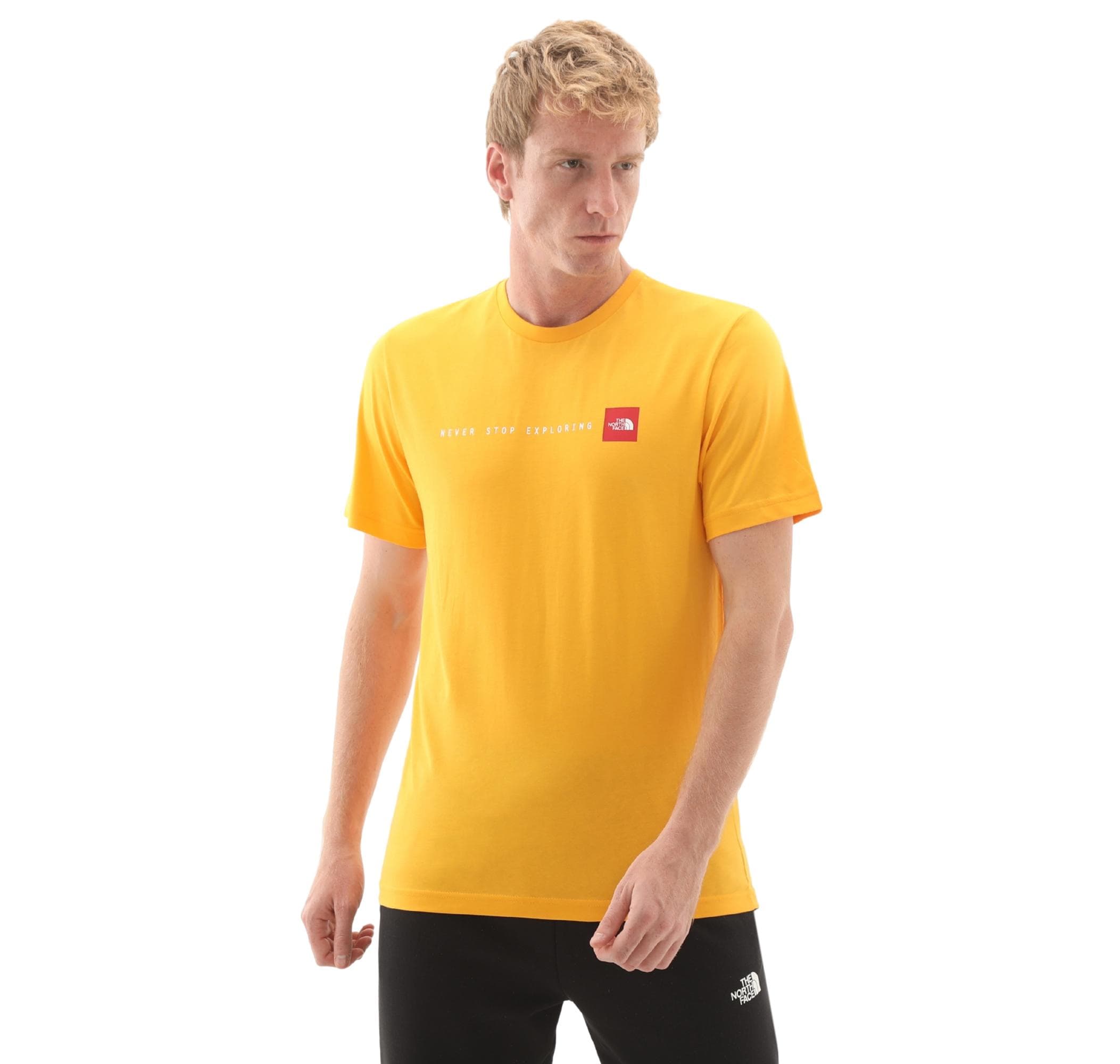 The North Face The North Face M Ss Never Stop Explorıng Tee Erkek T-Shirt Sarı - 3
