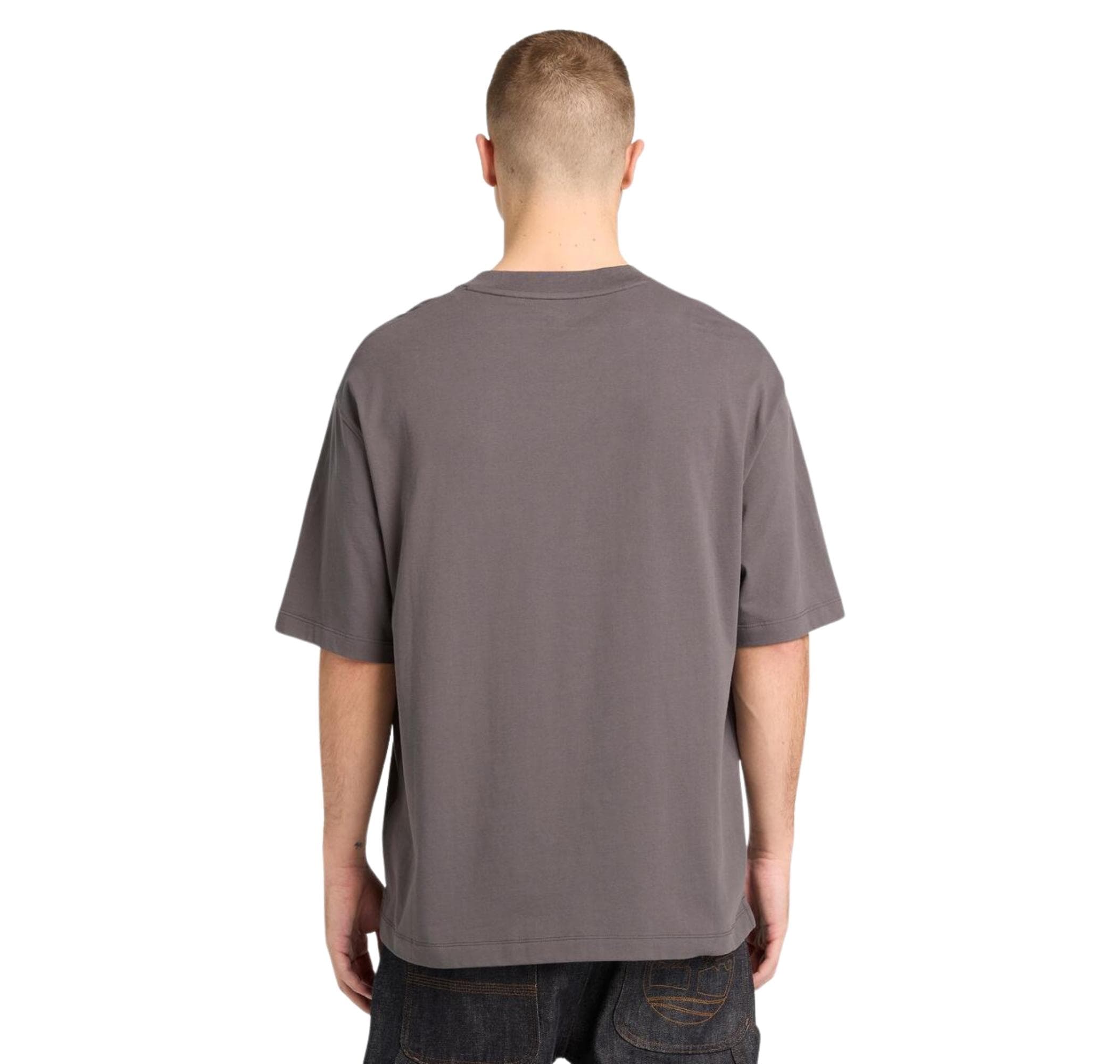 Timberland Timberland Dunstan Rıver Short Sleeve Tee Erkek T-Shirt Antrasit - 2