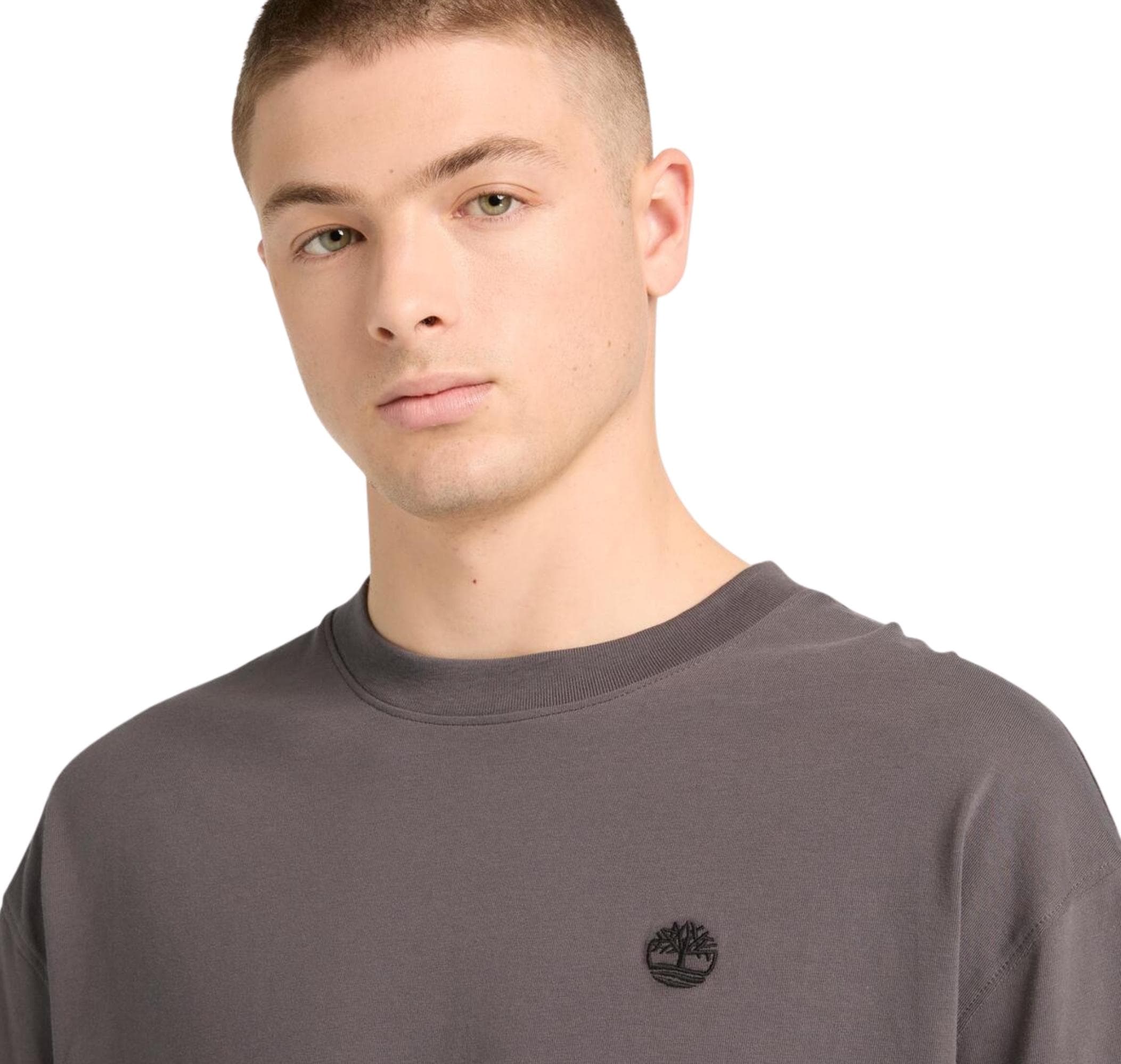 Timberland Timberland Dunstan Rıver Short Sleeve Tee Erkek T-Shirt Antrasit - 3