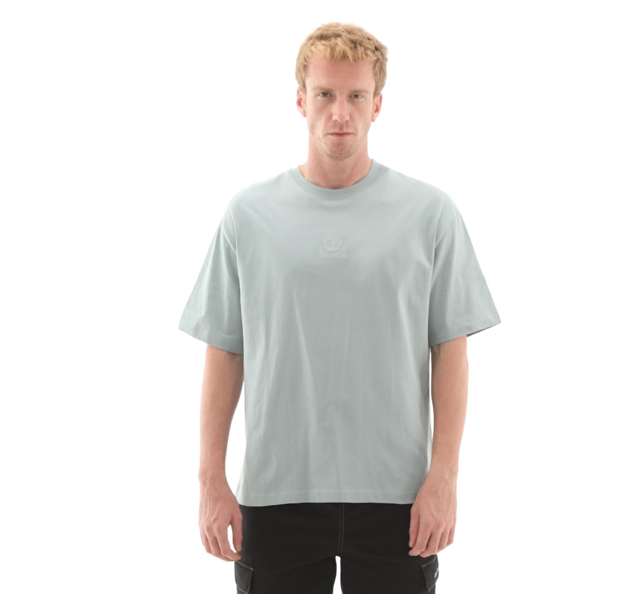 Timberland Timberland Hampthon Tonal Stack Logo Tee Erkek T-Shirt Açık Mavi