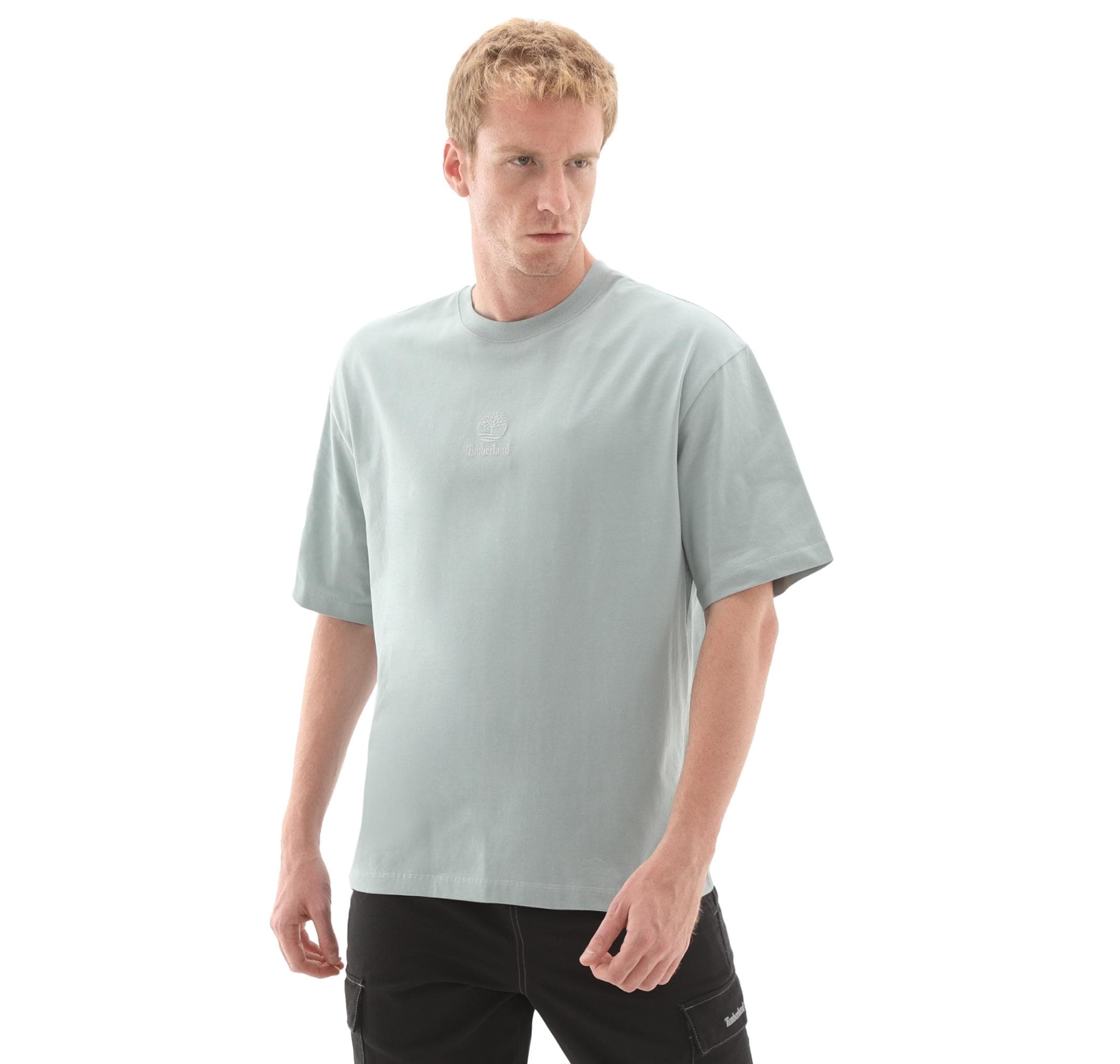 Timberland Timberland Hampthon Tonal Stack Logo Tee Erkek T-Shirt Açık Mavi - 2