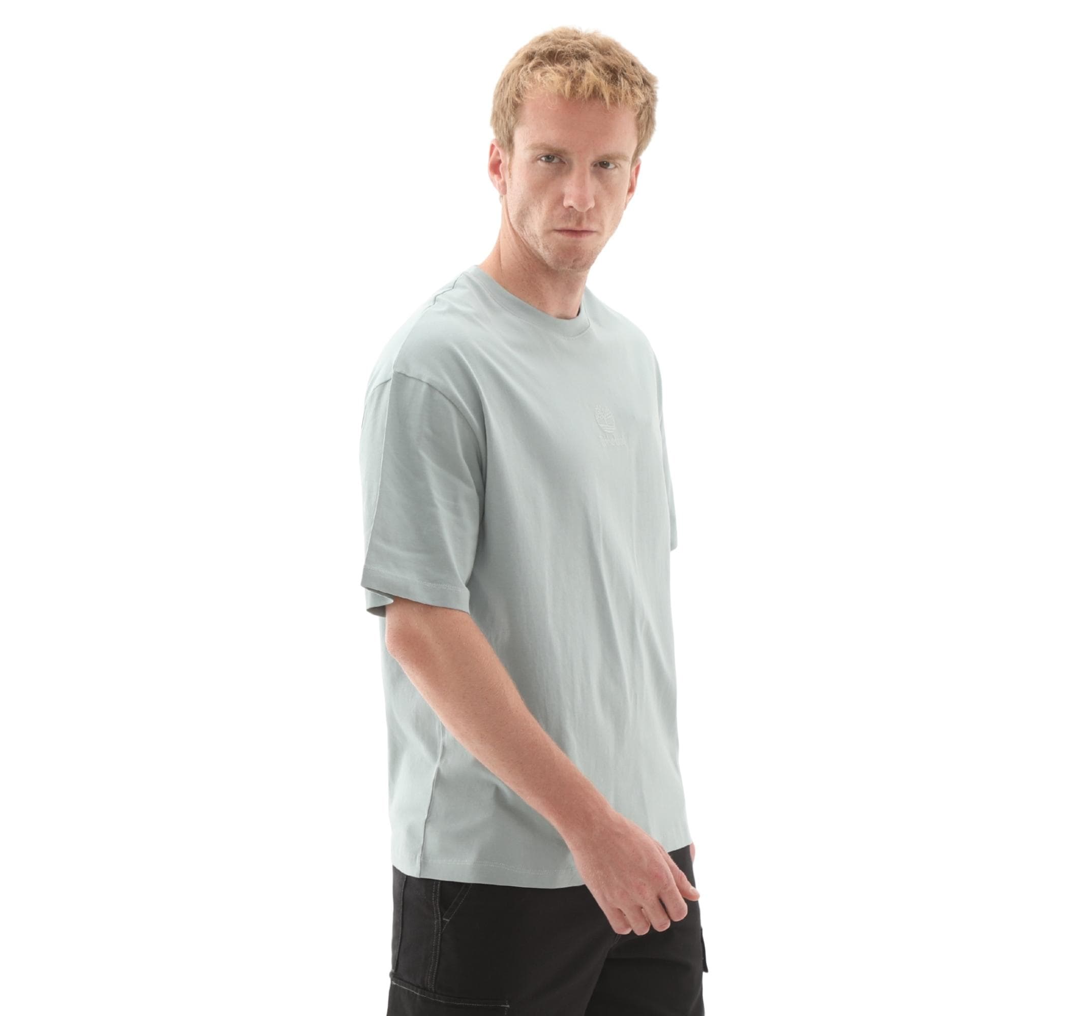Timberland Timberland Hampthon Tonal Stack Logo Tee Erkek T-Shirt Açık Mavi - 3